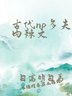 古代np多夫h肉辣文