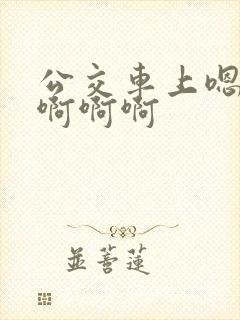 公交车上嗯嗯嗯啊啊啊