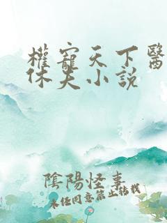 权宠天下医妃要休夫小说