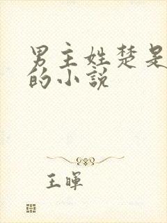 男主姓楚是军人的小说