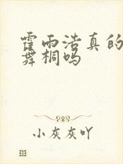 霍雨浩真的爱唐舞桐吗