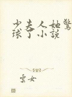 少夫人她惊艳全球了小说