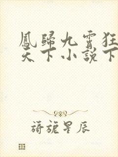 凤归九霄狂妃逆天下小说下载