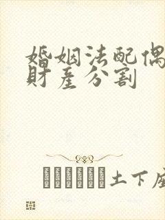 婚姻法配偶死亡财产分割