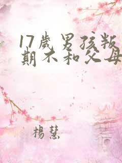 17岁男孩叛逆期不和父母沟通怎么办