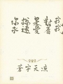 你总是对我说你永远爱着我什么歌