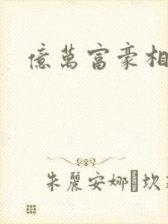 亿万富豪相亲会