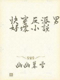 快穿反派男主你好坏小说