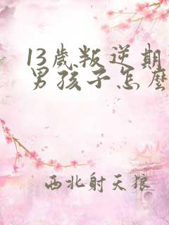 13岁叛逆期的男孩子怎么去引导