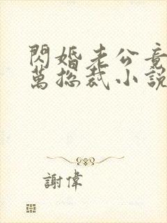 闪婚老公竟是亿万总裁小说小说