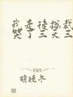 我走后总裁老婆哭了三天三夜的小说免费阅读