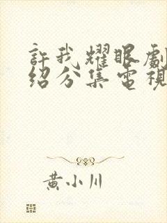 许我耀眼剧情介绍分集电视猫