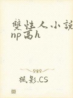 双性人小说纯肉np高h