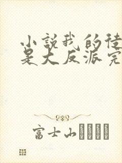 小说我的徒弟都是大反派完本