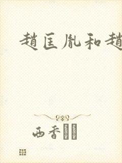 赵匡胤和赵匡义