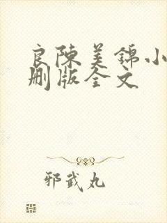 良陈美锦小说未删版全文