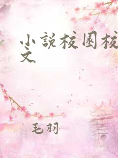 小说校园校霸甜文