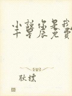 小说你是我的万千星辰免费阅读