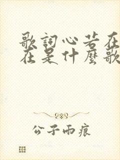 歌词心若在梦就在是什么歌