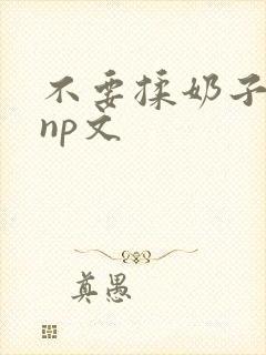 不要揉奶子h黄np文