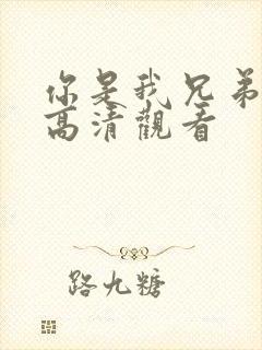 你是我兄弟免费高清观看