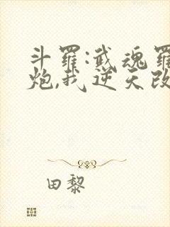 斗罗:武魂罗三炮,我逆天改命,24章