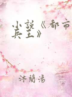 小说《都市最强兵王》