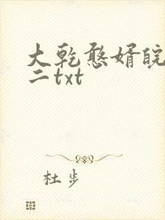 大乾憨婿皖南牛二txt