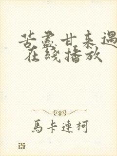 苦尽甘来遇见你 在线播放