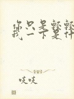 你只是轻轻爱了我一下是什么歌