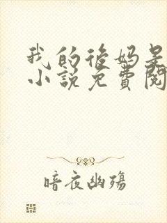 我的后妈是小姨小说免费阅读