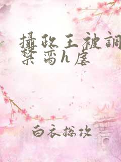 摄政王被调教成禁脔h虐