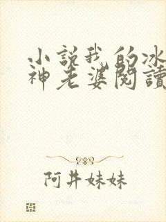 小说我的冰山女神老婆阅读