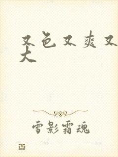 又色又爽又黄又大