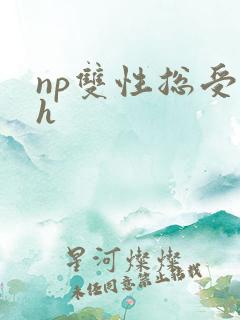 np双性总受高h