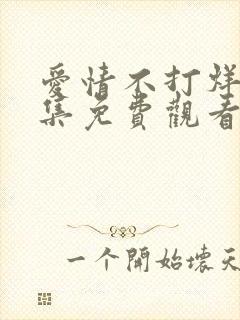 爱情不打烊40集免费观看电视剧