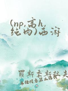 (np,高h,纯肉)西游