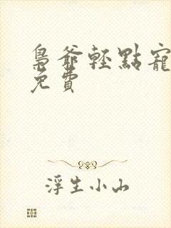 枭爷轻点宠小说免费