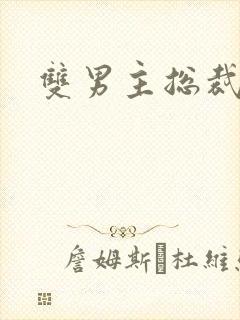 双男主总裁高干