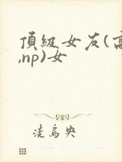 顶级女友(高h,np)女