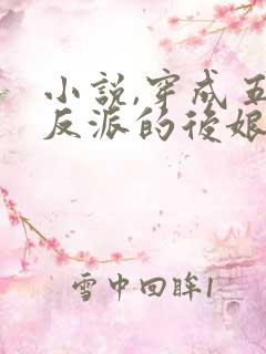 小说,穿成五个反派的后娘