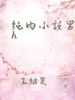 纯肉小说男男高h