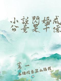 小说闪婚成宠老公竟是千亿大佬免费阅读