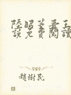 陆昭菱晋王的小说免费阅读