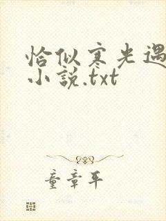 恰似寒光遇骄阳小说.txt