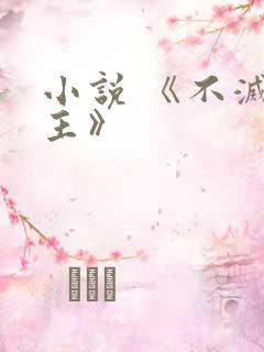 小说 《不灭剑主》