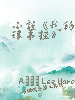 小说《我的姐姐很弟控》