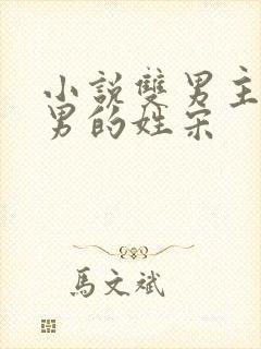 小说双男主一个男的姓宋