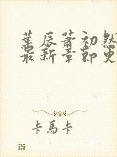 叶辰萧初然免费最新章节更新