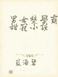 男女双学霸校园甜宠小说